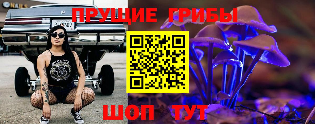 Галлюциногенные грибы Psilocybe Алейск
